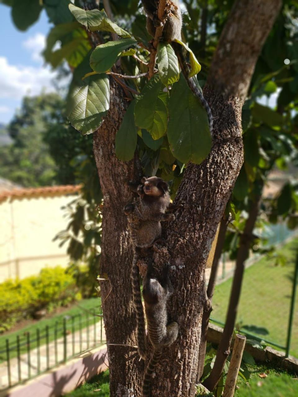 Pousada Bella Vista Hotel Serra do Cipo National Park Екстериор снимка