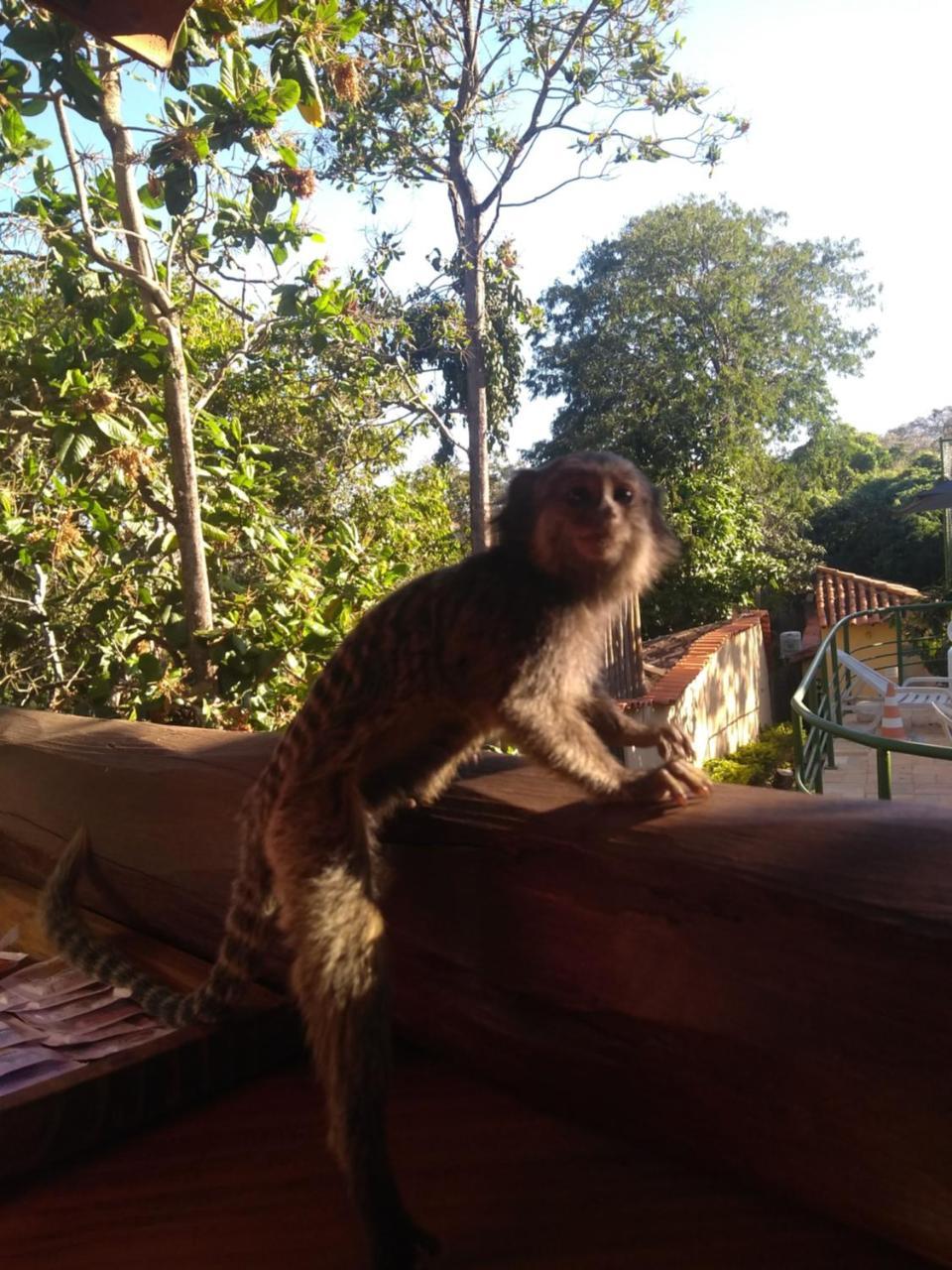 Pousada Bella Vista Hotel Serra do Cipo National Park Екстериор снимка